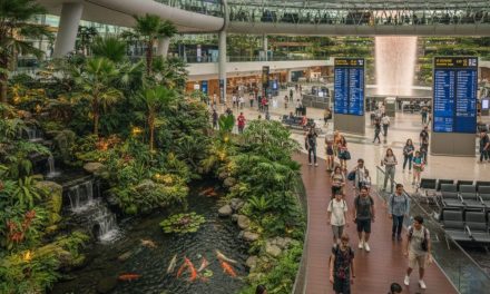 சிங்கை வழியாக பயணம் செய்த SIA பயணிக்கு “பாதிப்பு”.. சிங்கப்பூர் CDA கொடுத்த மிக முக்கிய விளக்கம்..!